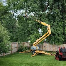 Best Lawn Mowing  in Vandenberg Village, CA
