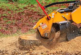 How Our Tree Care Process Works  in  Vandenberg Village, CA
