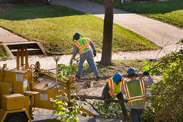 Best Soil Testing and Treatment  in Vandenberg Village, CA